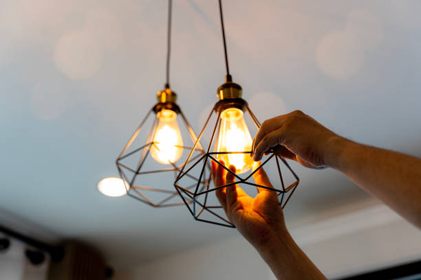 Best Electrician Near Me  in Meadow Woods, FL