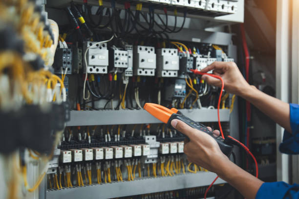 Best Affordable Electrician  in Meadow Woods, FL
