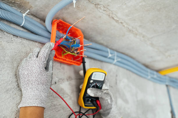 Best Licensed Electrician  in Meadow Woods, FL